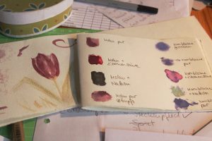 Farbproben von Mohn und Kornblume